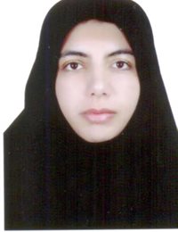 وکیل ضحی ایزی کانون خراسان شمالی